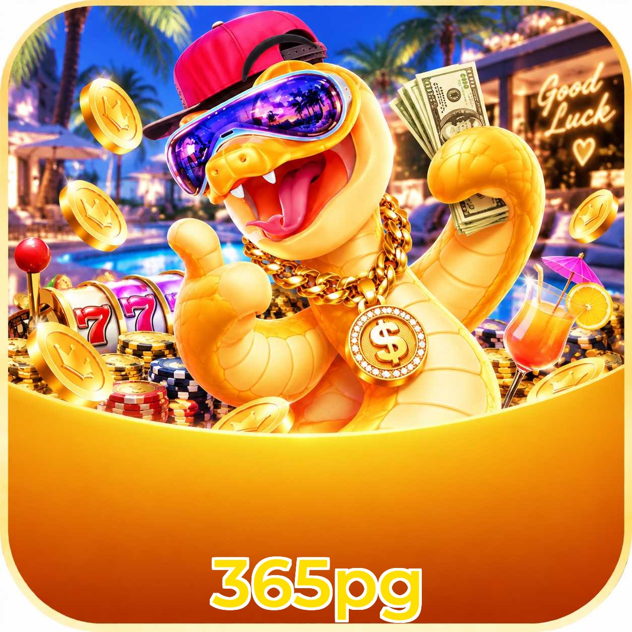 365pg Cashback