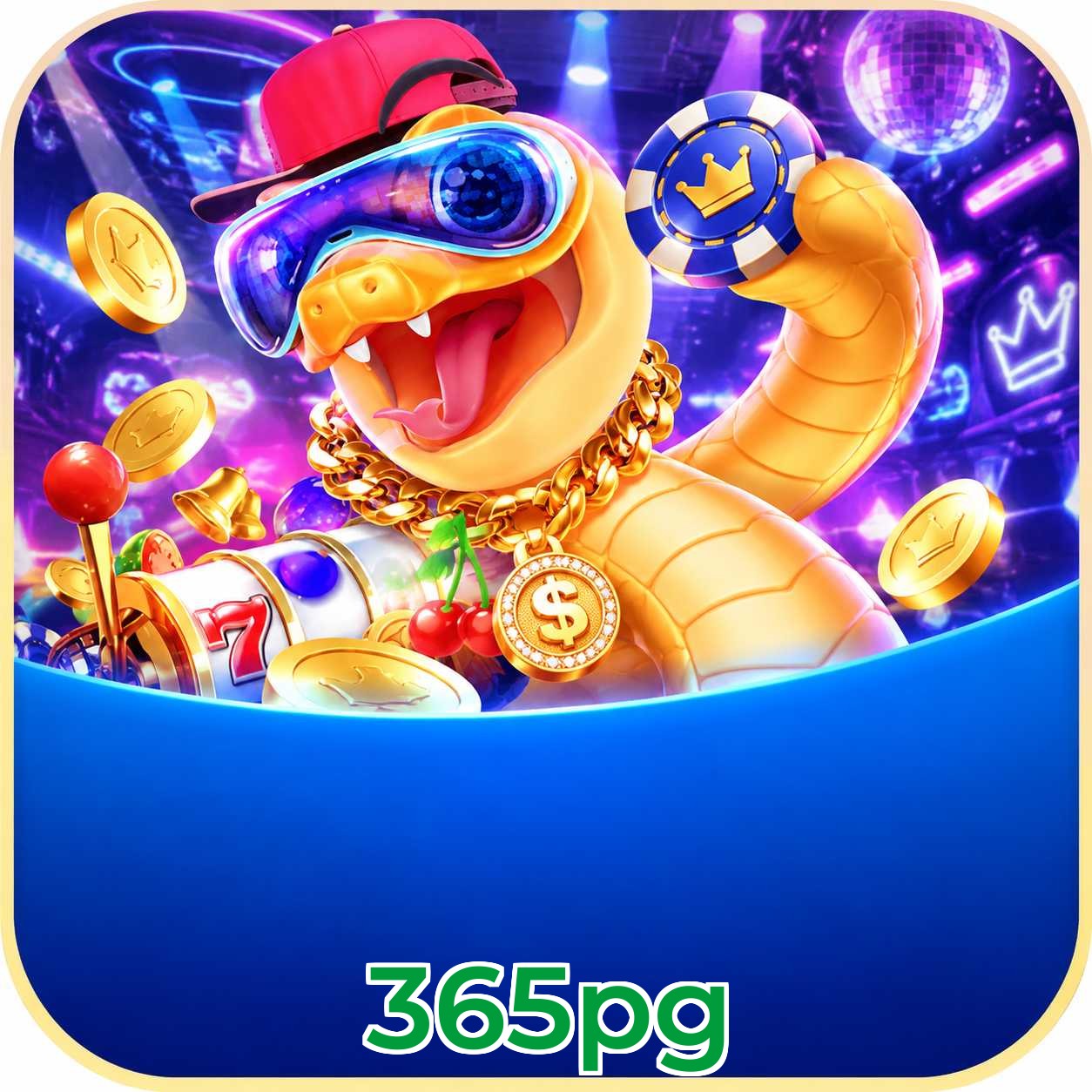 365pg Live Games